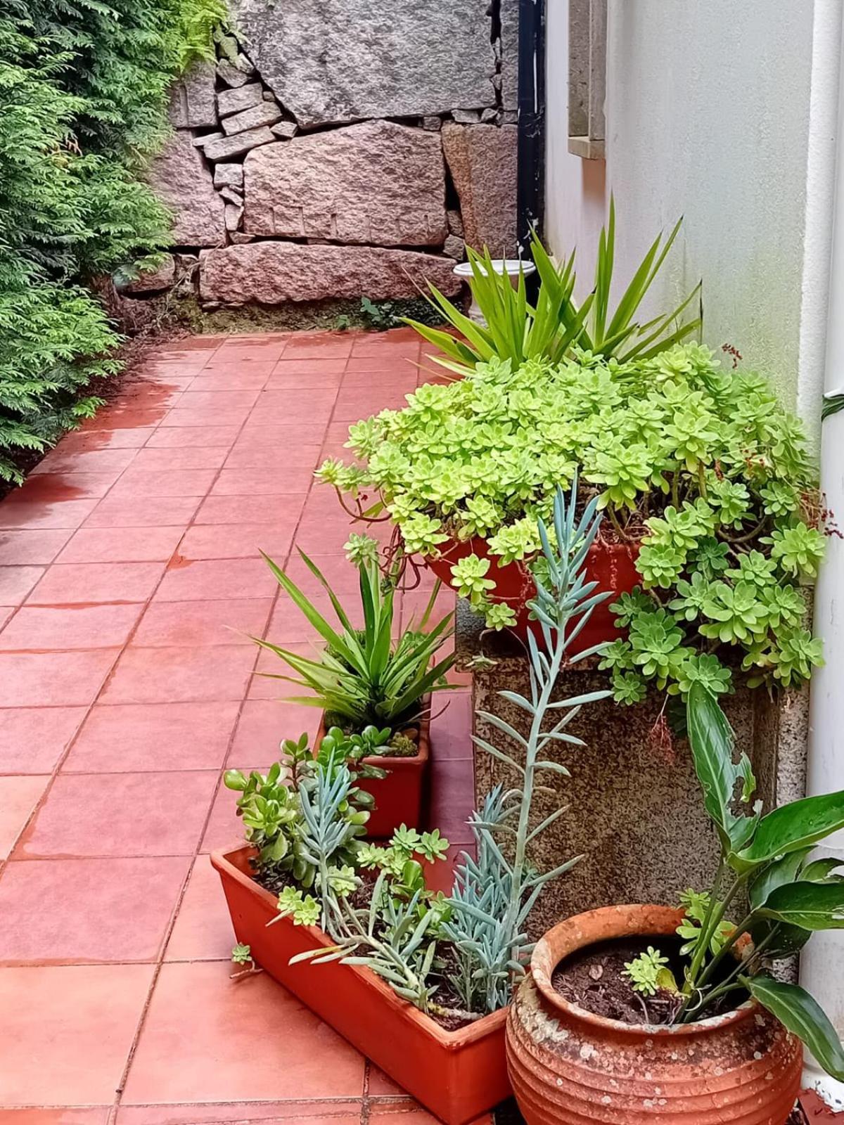 Vivienda Con Jardin Terraza Y Barbacoa Villa Picona Bagian luar foto